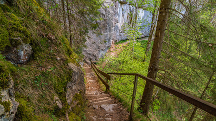 Fototapeta premium Fantastic hike on the Grunten in the Allgau