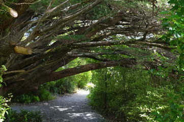 Fjordland Milford Sound Neuseeland S&uuml;dinsel