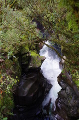 Fjordland Milford Sound Neuseeland S&uuml;dinsel