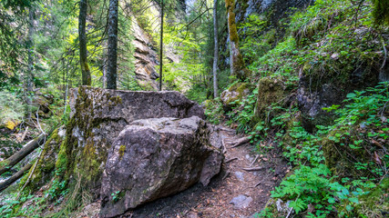 Fototapeta premium Fantastic hike on the Grunten in the Allgau