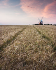 Fototapeta premium a windmill in a golden wheat field