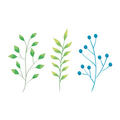 Fototapeta na wymiar branch with leafs nature ecology isolated icon vector illustration design