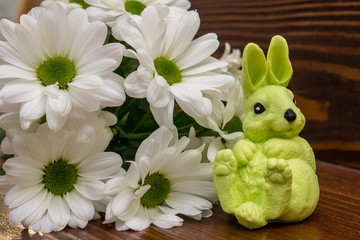 Green toy rabbit is sitting on the background of white chrysanthemums on the brown wooden table. Easter concept.