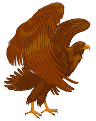 Brown eagle flaps its wings, preparing to take off. Colored vector illustration of the hawk standing on the ground.