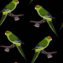 Green parrot seamless pattern on a black background for wallpaper, wrapping, packing, and backdrop. 