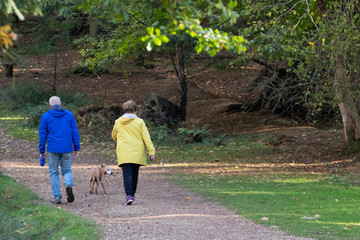 a middle aged couple walking their dog in the forest during autumn