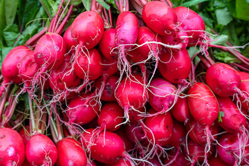 Red radish for sale at street food market in mountain village Sapa, Vietnam, closeup