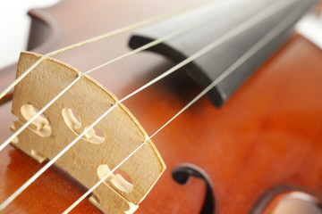 Beautiful classic violin, closeup view. Musical instrument