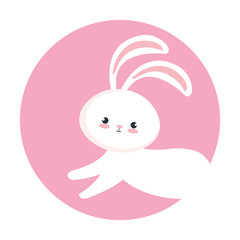 cute rabbit animal in frame circular vector illustration design