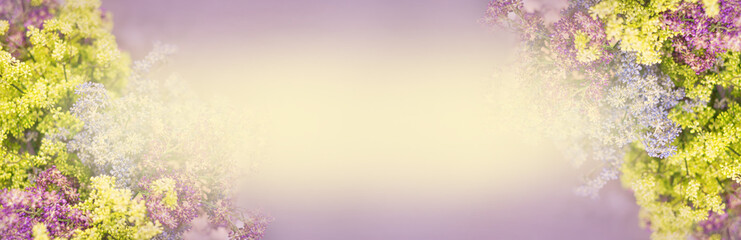 floral banner in lilac colors. Greeting gift card background. Template for postcards