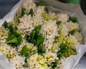 Beautiful bouquet of white hyacinths. Mother's day.