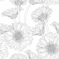Seamless pattern with hand drawn gerbera flowers in sketch style. Monochrome endless nature background. Chamomile, chrysanthemum, gerbera.