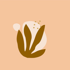 illustration vector EPS print hand draw abstract shapes plant botanical premium logo