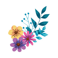 Fototapeta na wymiar cute flowers with branches and leafs vector illustration design