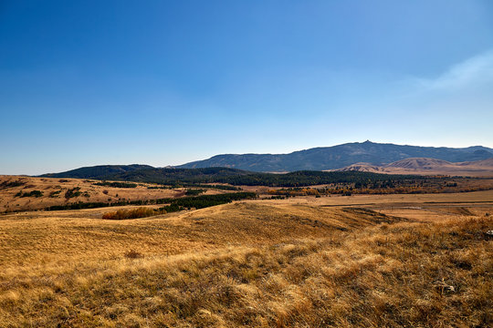 Landscape Steppe And Wooded Mountains.