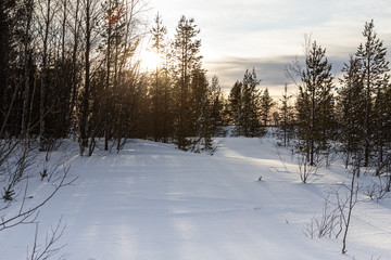 Winter landscape - snow-capped lake mountain and trees in the distance