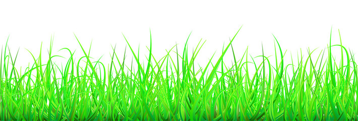 Landscape green grass and blue sky stock illustration. panorama, banner.
