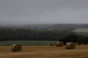 round hay bales in a field with rain clouds over head