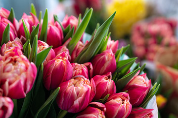 Obraz premium Spring flowers banner - bunch of multi color tulips flowers on white, grey background. Easter day mock up greeting card. Tulip Congratulation or Invitation card with free space for text.