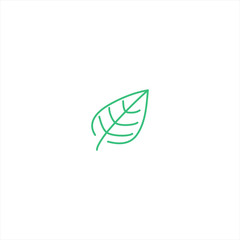 green leaf on white background