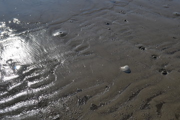 wet sea sand