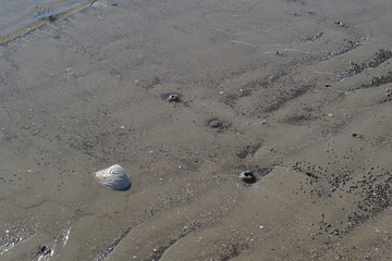 Sea sand