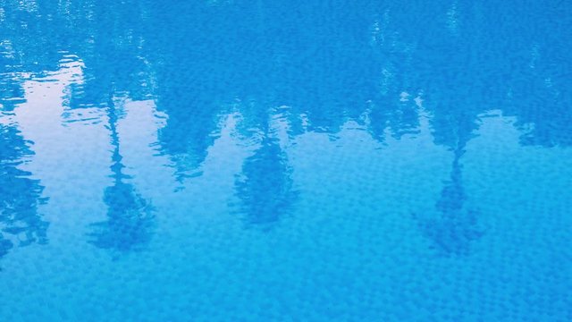 Reflection of palm trees and forest in pool water