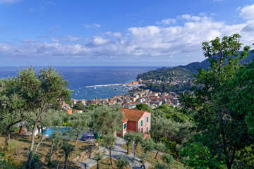 Fototapeta premium View from the top