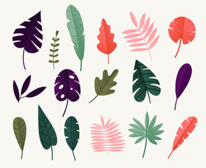 Set of abstract tropical leaves. Vector illustration.