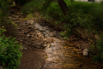 Stream among rocks in a summer green Park