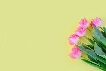 beautiful pink tulips on a yellowpastel background.Spring bouquet. Love concept, Valentine's day, Mother's day, International Women's Day, copy space. Flat lay.Background for greetings and postcards.