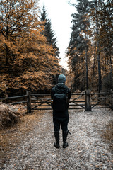 Fototapeta premium a man wearing a backpack standing on an autumn forest path