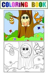Beehive, eagle owl and squirrel on a tree. Set children coloring book and color picture.