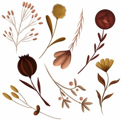 Collection of flowers in pastel colour