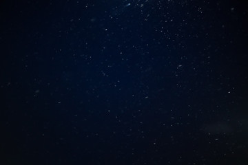 Falling realistic natural snowflakes in focus on a black and blue background