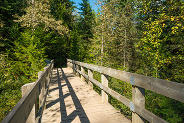 Fototapeta premium Pedestrian Bridge