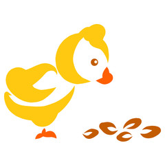 little yellow chick pecking seeds, animal care