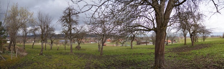 Streuobstwiese nicht schützenswert