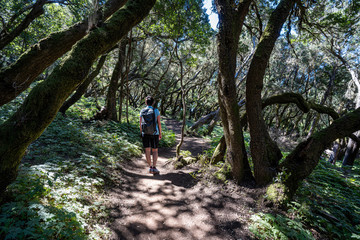 Obraz premium La Gomera Kanaren im März