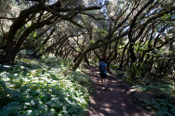 Obraz premium La Gomera Kanaren im März