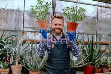 Attractive young man gardener in the morning in a greenhouse holding beautiful decorative plants
