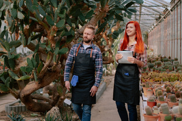 Two charismatic gardener woman with redhead and good looking man with a beard walking around in a agricultural greenhouse they analyzing the deck plants