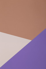 Brown, purple and yellow background, colored paper geometrically divides into zones, frame, copy, space.