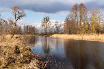 Fototapeta premium Kanał Augustowski w Dębowie. Biebrzański Park Narodowy, Podlasie, Polska 