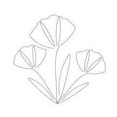 Spring flowers line draw vector illustration