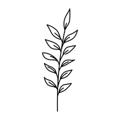 branch with leafs nature ecology isolated icon vector illustration design