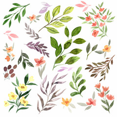 Tiny delicate flora, watercolor flowers, leaves and branches.