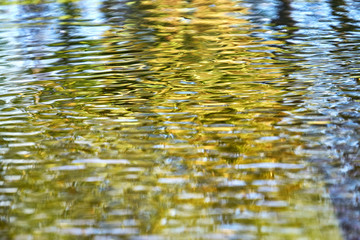 The water surface of the lake pond sea. Small ruffle wave from the wind on the water.