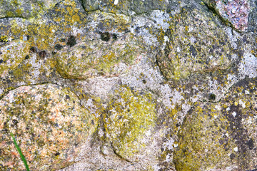 Old stone wall with green moss as a natural background.