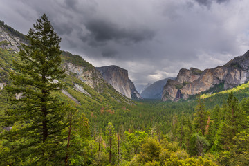 Fototapeta na wymiar Yosemite National Park located in Yosemite Valley, California, USA.